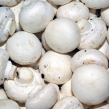 Koliko i kako kuhati svježe šampinjone: do kuhanja, prije prženja, pečenja, za salatu, u sporu kuhaču